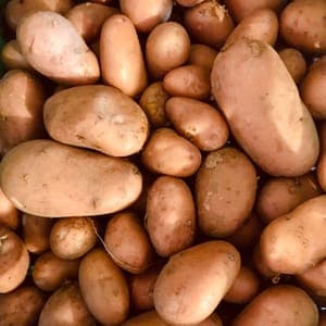 POMMES DE TERRE VAPEUR/RISSOLEES