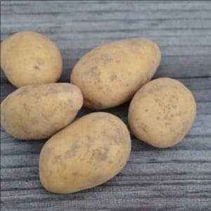 Pomme de terre