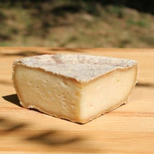 Tome de chèvre affinée