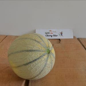 melon
