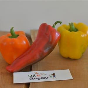 poivron coloré
