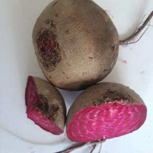 Betteraves rouges crues