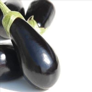 Aubergine