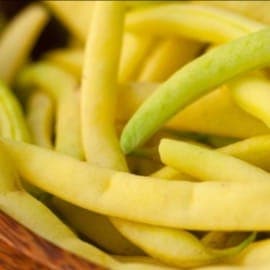 Haricots beurre (Aigue Vive)