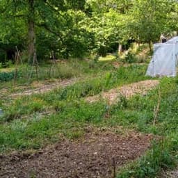 Le jardin forêt de Cléophée #8