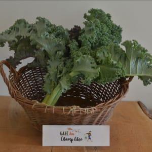chou kale vert ou rouge