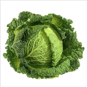 Chou vert frisé