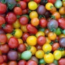 tomates cerises apéro (Aigue Vive)