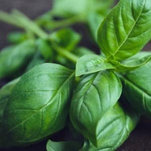 01 - Aromatiques