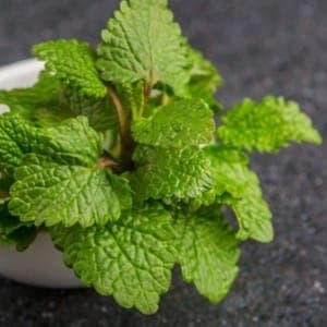 01 - Aromatiques