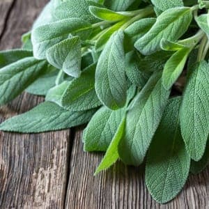 01 - Aromatiques