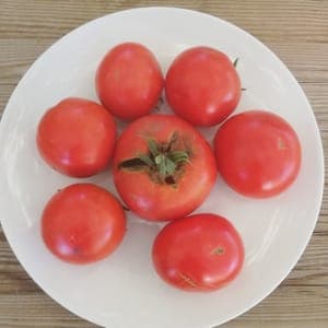 Tomates St Pierre