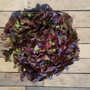 salade