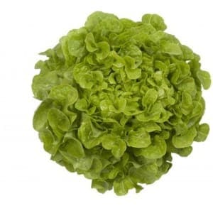 salade