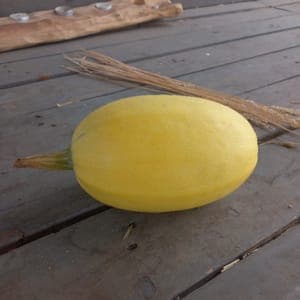 COURGE SPAGHETTI