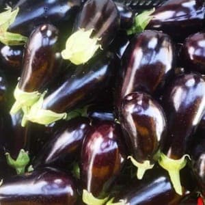 Aubergines