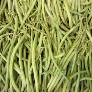 Haricot vert