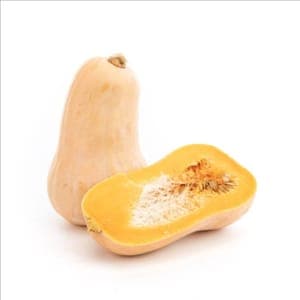 Butternut - Bio en Sol Vivant