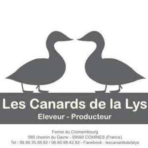 Les canards de la lys