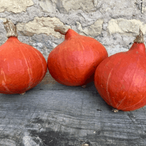 Potimarron