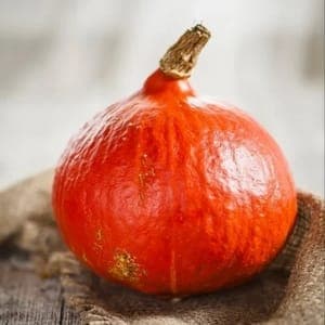 Potimarron