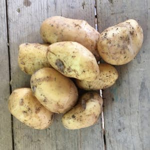Pomme de terre Nicola (kg)