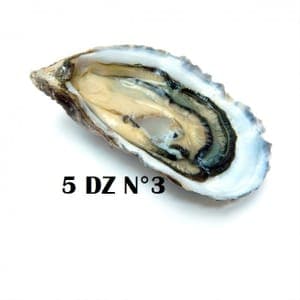 Fine de Claire n°3