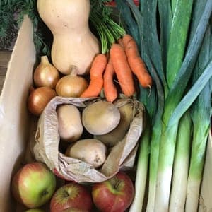 PANIER de LEGUMES de SAISON