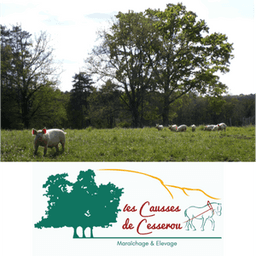 Les Causses de Cesserou #5