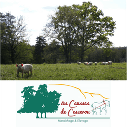 Les Causses de Cesserou #0