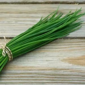 Aromatiques
