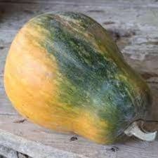courge