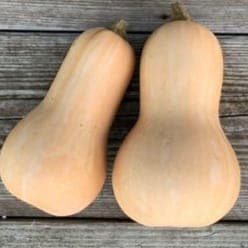 Butternut