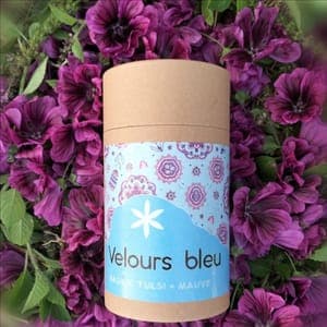Velours bleu