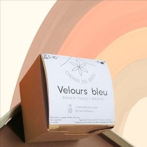 Velours bleu