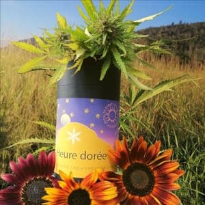 Heure dorée