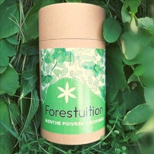 Forestuition