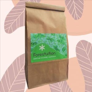 Forestuition