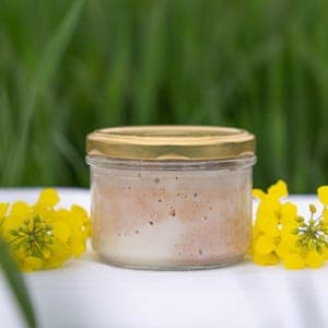 Rillettes de Porc BIO