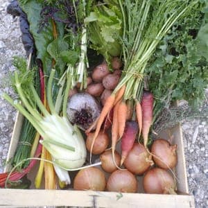 Panier de légumes de saison 3 à 4 personnes