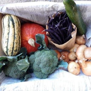 Panier légumes de saison