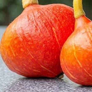 courge
