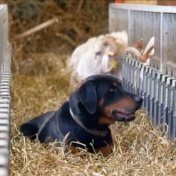 La Ferme du Taychel #3