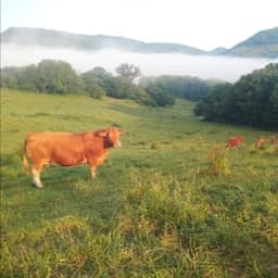 La Ferme du Taychel #4