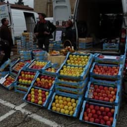 Fruits du Vernat #1