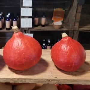 *Courges