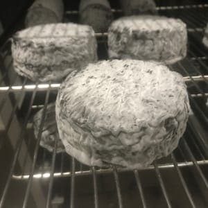 Chèvre Cendré