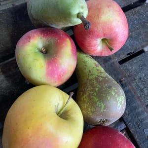 Pomme et Poire en mélange