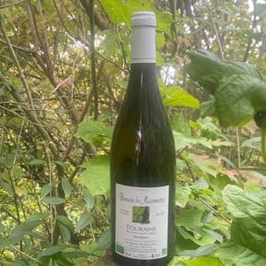 AOC TOURAINE SAUVIGNON