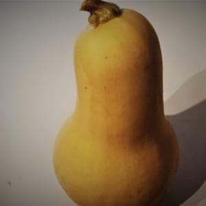 Butternut moyen